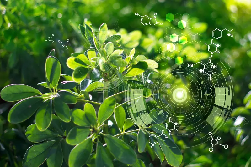 biology laboratory nature science plants biochemistry structure green background